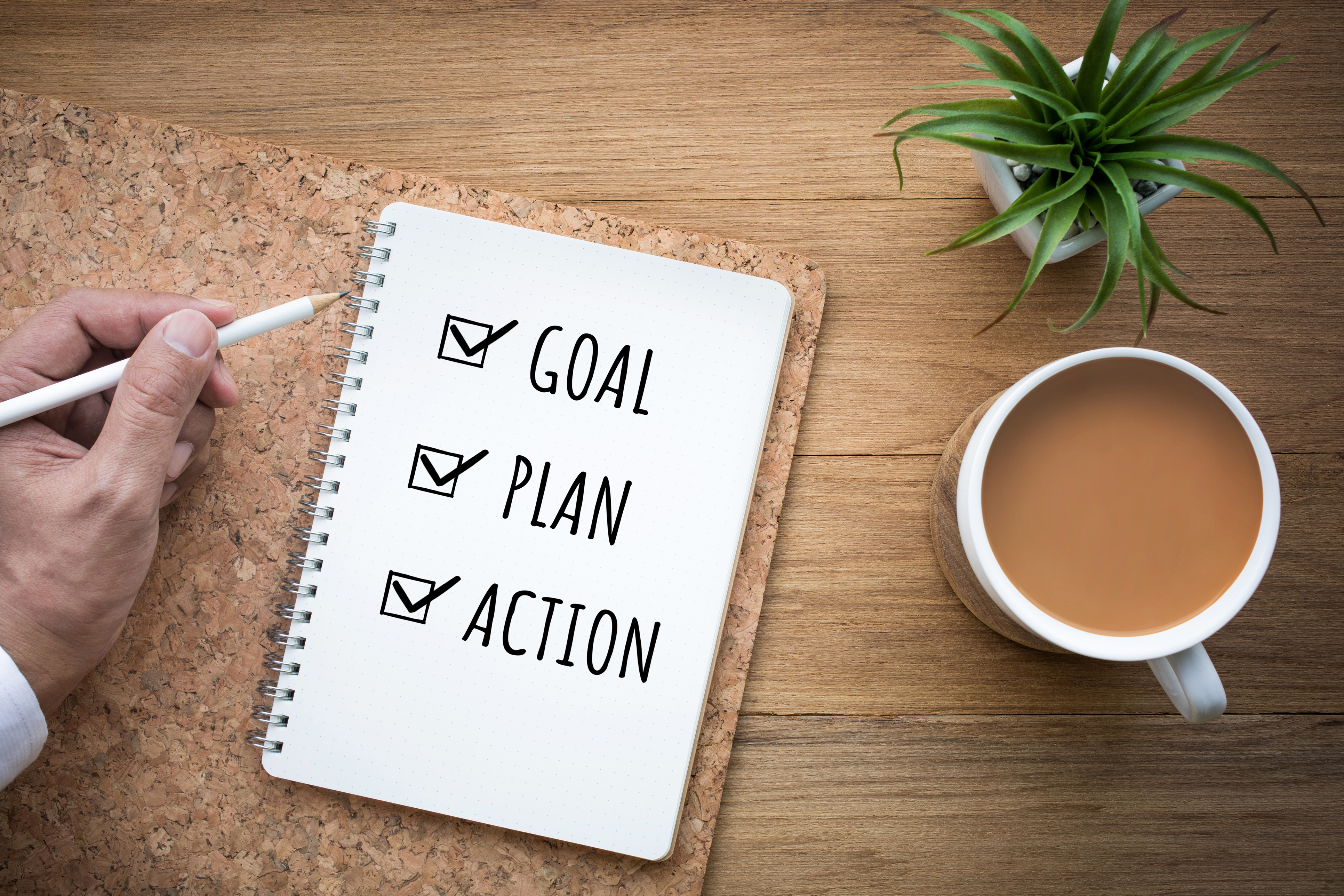 Goal. Plan. Action.